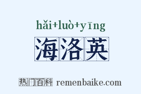 海洛英是什么意思的图片